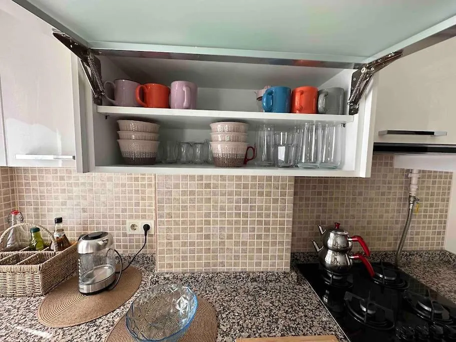 Dublex Roof Top With Ac, Perfect Location Istanboel 0*,  Turkije